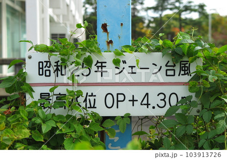 草が絡まった浸水水位表示(記憶の風化のイメージ) 草が絡まった浸水水位表示(記憶の風化のイメージ) 103913726