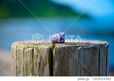 虹色の住まい 103914362