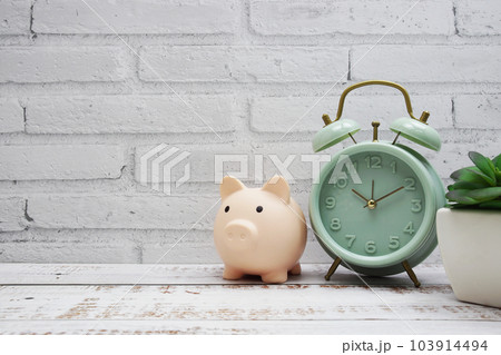 Piggy bank with alarm clock business and finance background 103914494