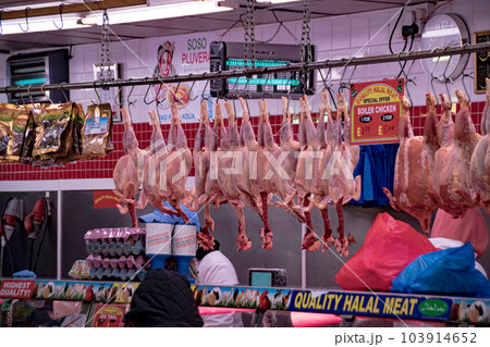 吊るされた鶏肉 吊るされた鶏肉 103914652