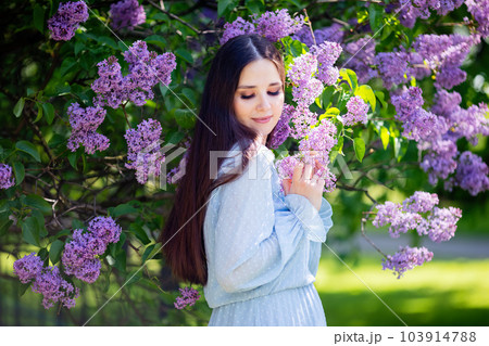 A beautiful girl in blue dress, stands next to a flowering lilac bush  103914788