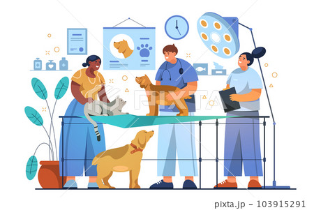 Vet or veterinary clinic illustration. Vector pet 103915291