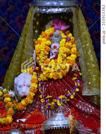 Tiger Goddess Danteswari, Danteshwari Temple, Jagdalpur, Chhatisgarh, India. One of the 52 Shakti Peethas. Temple was built in the 14th century Tiger Goddess Danteswari, Danteshwari Temple, Jagdalpur, Chhatisgarh, India. One of the 52 Shakti Peethas. Temple was built in the 14th century 103915362