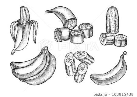How to Draw a Banana  Easy Drawing Art