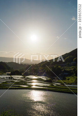 夕暮れ時の農村、日が沈む直前の田んぼの風景が美しい 103915512