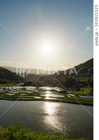 夕暮れ時の農村、日が沈む直前の田んぼの風景が美しい 103915525