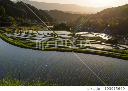 夕暮れ時の農村、日が沈む直前の田んぼの風景が美しい 103915640