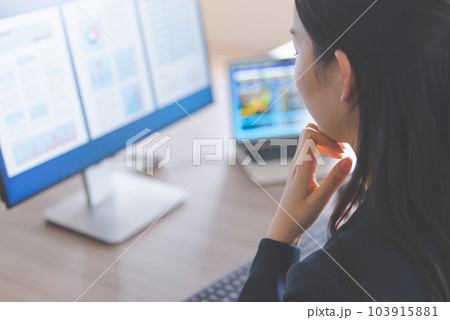 ビジネスイメージ デスクワーク ビジネスイメージ デスクワーク 103915881