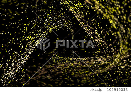 背景 バックグラウンド バックグランド 103916038