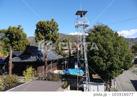 長野県埴科郡坂城町中之条の中條神社の欅伐採工事前の風景 長野県埴科郡坂城町中之条の中條神社の欅伐採工事前の風景 103916077