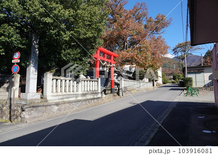 長野県埴科郡坂城町中之条の中條神社の欅伐採工事前の風景 長野県埴科郡坂城町中之条の中條神社の欅伐採工事前の風景 103916081