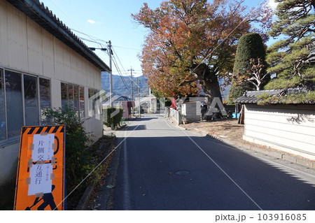 長野県埴科郡坂城町中之条の中條神社の欅伐採工事前の風景 103916085