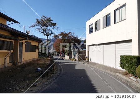 長野県埴科郡坂城町中之条の中條神社の欅伐採工事前の風景 長野県埴科郡坂城町中之条の中條神社の欅伐採工事前の風景 103916087