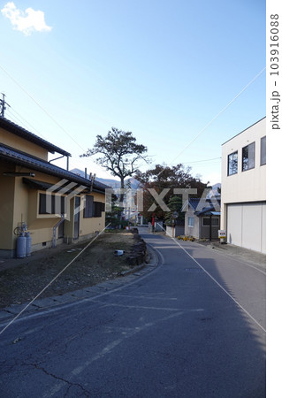 長野県埴科郡坂城町中之条の中條神社の欅伐採工事前の風景 103916088