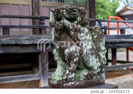 春日神社の狛犬 103916215