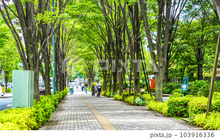 川崎市の都市風景 武蔵小杉駅 川崎市の都市風景 武蔵小杉駅 103916336