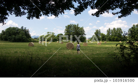 Portrait on back view of woman walking in a meadow with roll wheat 103916500