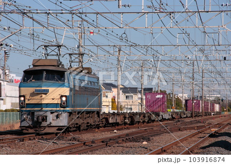 東海道貨物線を走行するEF66-36号機牽引の貨物列車(3075レ)_2010/1/7撮影 103916874