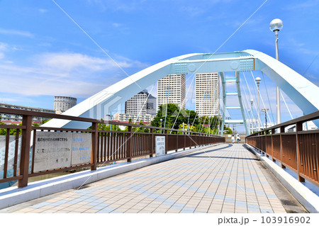 境川わかしお歩道橋より新浦安駅方面を望む(千葉県浦安市)【2023.6】 境川わかしお歩道橋より新浦安駅方面を望む(千葉県浦安市)【2023.6】 103916902