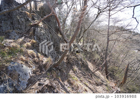 桐生市 塩宮神社から尾根伝いに前仙人岳に登る登山道 山頂に近づくと岩が多い 2023年4月4日 桐生市 塩宮神社から尾根伝いに前仙人岳に登る登山道 山頂に近づくと岩が多い 2023年4月4日 103916988