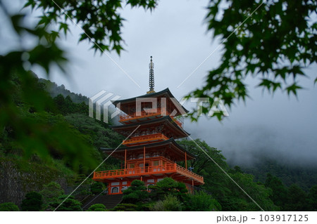 雨にけむる那智山青岸渡寺三重塔 雨にけむる那智山青岸渡寺三重塔 103917125