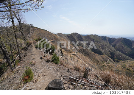 前仙人ケ岳から仙人ケ岳に向かう登山道から、仙人ケ岳方面を見る　2023年4月4日 103917488