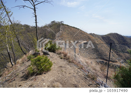 前仙人ケ岳から仙人ケ岳に向かう登山道から、仙人ケ岳方面を見る　2023年4月4日 103917490