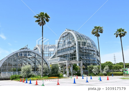 のんほいパーク（豊橋総合動植物公園）の温室と晴天の空 103917579