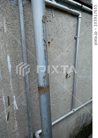 雨樋の縦桶を伝って移動する大量のチャドクガの幼虫 103917655