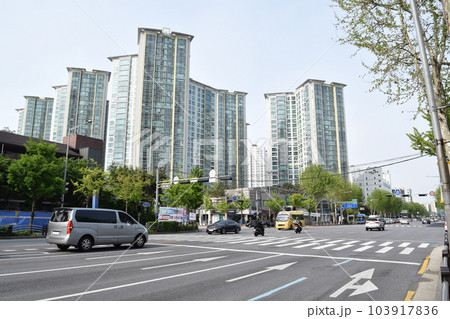 ソウル江南区の高級住宅地(江南区道谷洞) 103917836