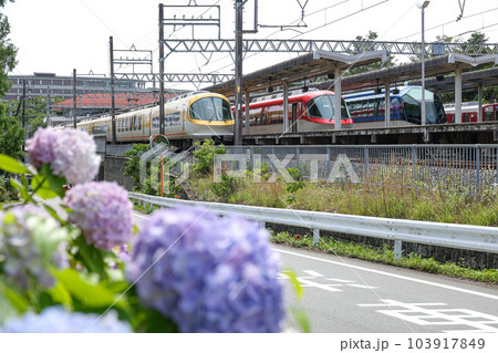 近鉄賢島駅と紫陽花 103917849