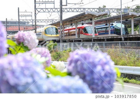 近鉄賢島駅と紫陽花 近鉄賢島駅と紫陽花 103917850