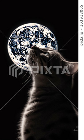 月と猫 月と猫 103918065