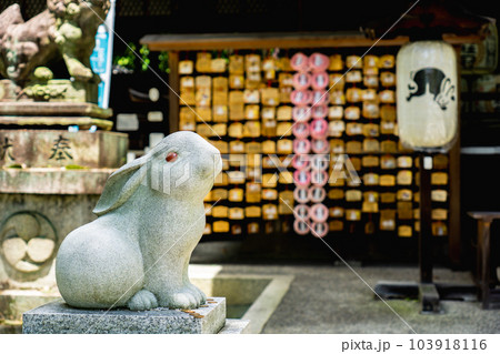 京都市左京区の岡崎神社　狛うさぎ 103918116