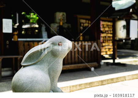 京都市左京区の岡崎神社　狛うさぎ 103918117