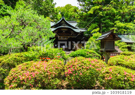 京都市左京区の岡崎神社 拝殿 京都市左京区の岡崎神社 拝殿 103918119