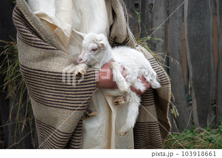 Shepherd with a sheep in his arms 103918661
