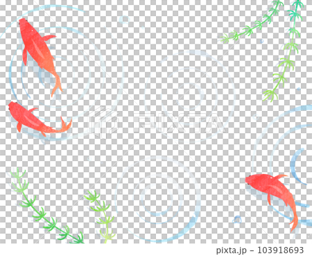 水中を泳ぐ赤い金魚  罫線のない便箋テンプレート 103918693