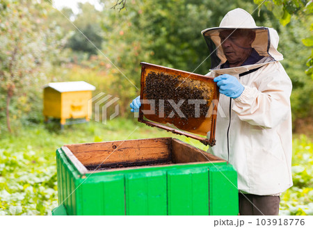 Old hiver in protective suit with hive frame Old hiver in protective suit with hive frame 103918776