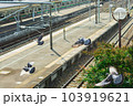 駅のホームで出勤する鳩 103919621