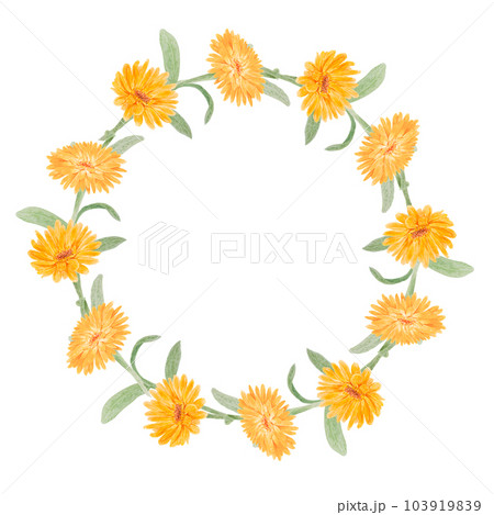 Wreath of orange calendula officinalis. Watercolor hand drawn illustration. Botanical frame for labels, eco goods, textiles, natural herbal medicine, healthy tea, cosmetics and homeopatic remedies. 103919839