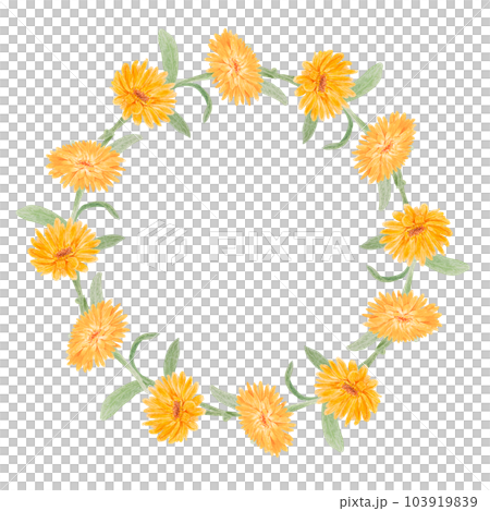 Wreath of orange calendula officinalis. Watercolor hand drawn illustration. Botanical frame for labels, eco goods, textiles, natural herbal medicine, healthy tea, cosmetics and homeopatic remedies. 103919839