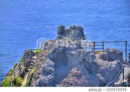 伊豆半島・南伊豆・石廊崎の突端、熊野神社の断崖絶壁と周囲の遊歩道のイメージ・静岡県南伊豆町 103919936