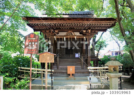 藤森神社・境内社大将軍社社殿 藤森神社・境内社大将軍社社殿 103919963