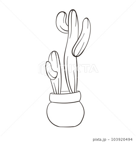 Cactus line art style. Linear Cactus. Hand drawn cactus isolated on white background. Succulent plants in doodle style. Vintage illustration. Cactus line art style. Linear Cactus. Hand drawn cactus isolated on white background. Succulent plants in doodle style. Vintage illustration. 103920494