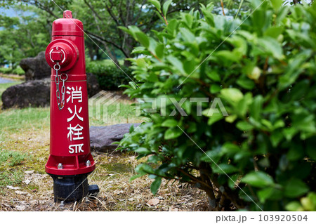 消火栓 消火栓 103920504