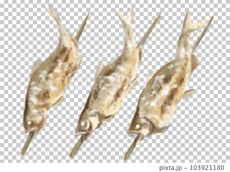 Hand-painted salt-grilled sweetfish_01_1 Hand-painted salt-grilled sweetfish_01_1 103921180