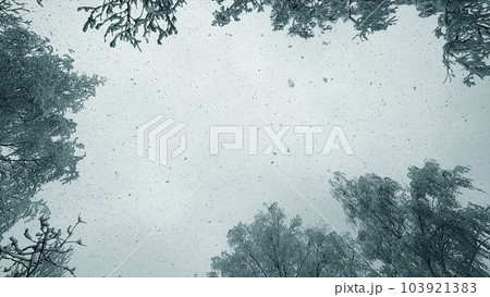 Falling snow from above. Snowfall. Snow falls in flakes vertically from above against sky, snow-covered treetops on winter day. Lot of snow falls from above. Winter seasonal background. Snowy backdrop 103921383