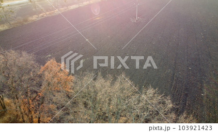 Plowed field and trees without leaves lit sunlight on sunny autumn spring day. Tilled land field. Chernozem black earth field. Dug up earth. Flying over agricultural field. Aerial view. Red sun glare 103921423