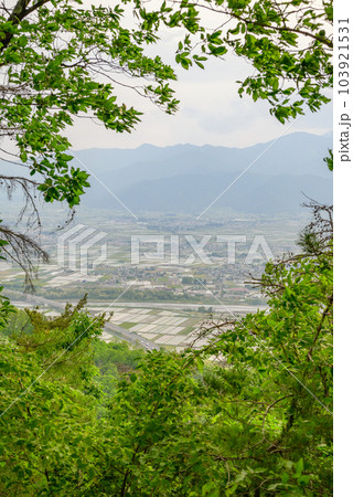 新緑と安曇野【長峰山より撮影】 103921531